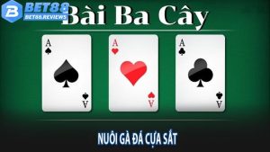 Tổng quan về Ba cây bet88